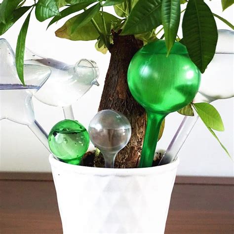 plant waterer glass|glass ball with plants inside.